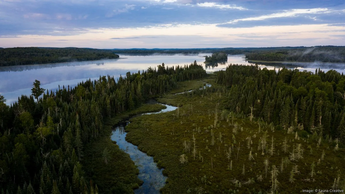 Featured image for “Investing in nature pays big dividends in Minnesota”